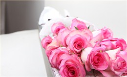 玫瑰花买回家怎么保养，花期更长？