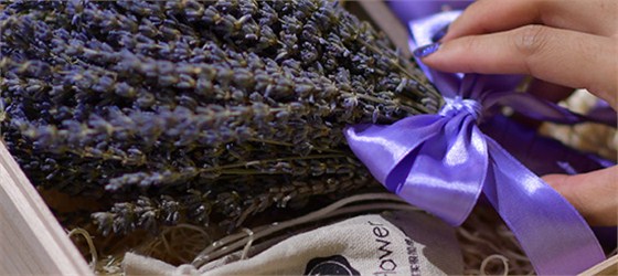 Joy Flower 花礼套装 薰衣草礼盒 Joy Flower 花礼套装 薰衣草礼盒