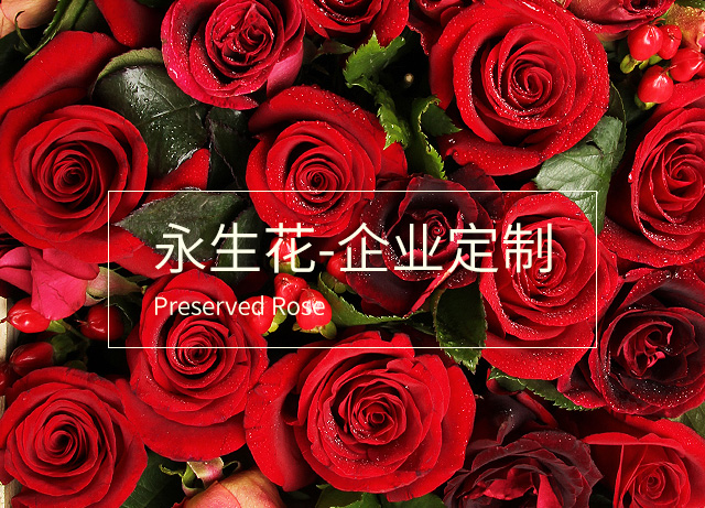 Joy Flower高端永生花礼定制专家